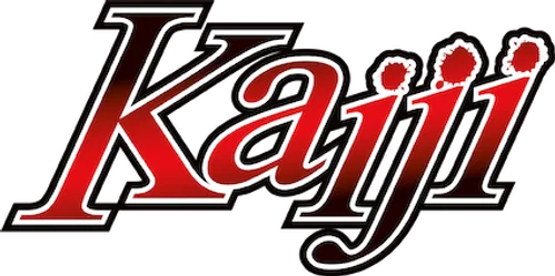 Gyakkyou Burai Kaiji: Hakairoku-hen
