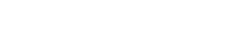 Synduality: Noir