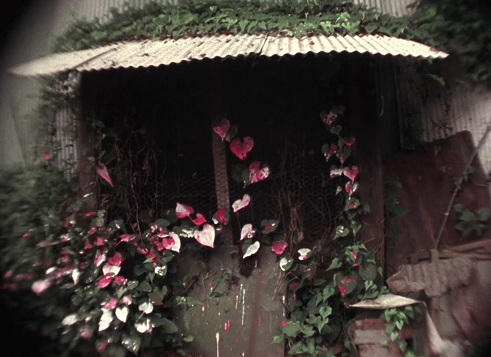 Poster Shelter